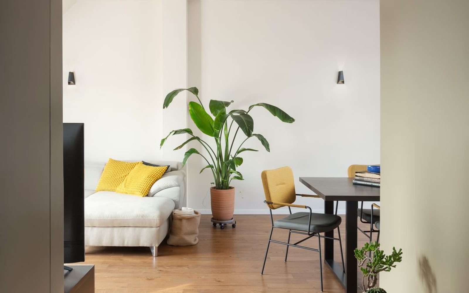 A13 — La casa della luce